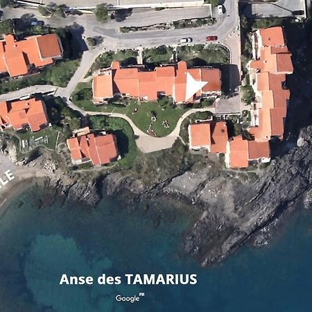 Collioure Appart En Bord De Mer Plage A 50M Clim Garage Location Du Samedi Au Samedi Zewnętrze zdjęcie