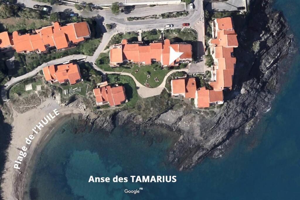 Collioure Appart En Bord De Mer Plage A 50M Clim Garage Location Du Samedi Au Samedi Zewnętrze zdjęcie