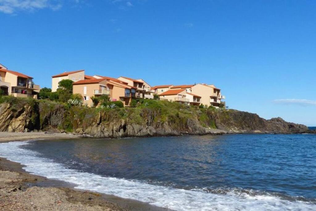 Collioure Appart En Bord De Mer Plage A 50M Clim Garage Location Du Samedi Au Samedi Zewnętrze zdjęcie